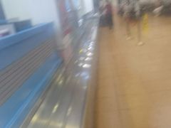 -广州长隆国际大马戏