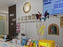 -丹景宠物医院·全科·老年病·牙科(武昌诊疗中心)