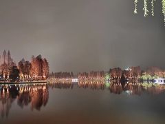 -武汉大学-樱园