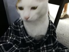 -青沐画室·专业美术培训