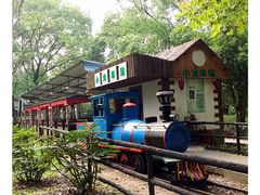 -上海共青森林公园