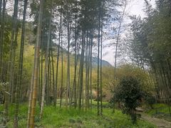 -黄公望隐居地