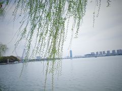 -无锡蠡湖国家湿地公园-蠡园