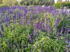 景点-长春公园(普阳街道)