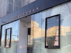 -BLACKSWAN黑天鹅(环球店)