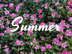 -珠江夜游天字码头