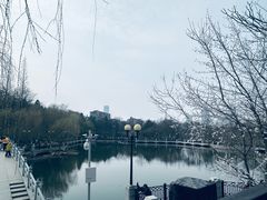 -大连植物园