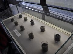 -月湖公园-宁波茶文化博物院