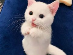 -星巴克(深圳佳宁娜友谊广场店)