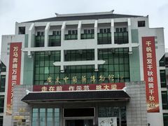 -广东中医药博物馆