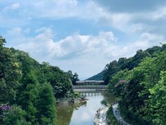 -广州市帽峰山景区