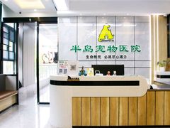 -半岛宠物医院24小时(西派城店)