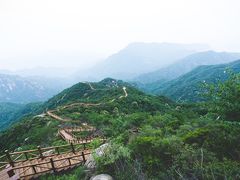 -大岭沟猕猴桃谷风景区