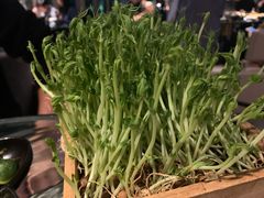 -凤园椰珍·臻品椰子鸡(保利时光里店)