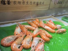 -福禧荟·海鲜自助