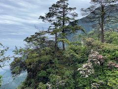 -峨眉山风景名胜区