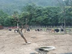 -西安秦岭野生动物园