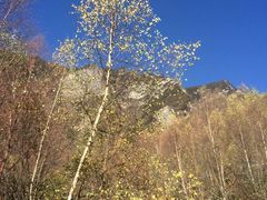 -叠溪松坪沟景区