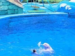 -海合安成都极地海洋公园