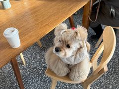 -小意思咖啡店(草桥店)