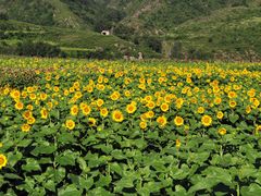-雾灵西峰