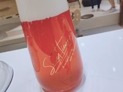 -飞行喵MR PILOT|猫舍·猫咖(静安大融城店)