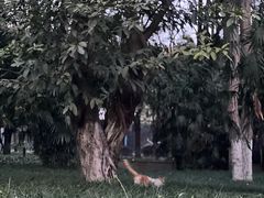 -成都市人民公园