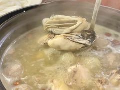 -花苑美食横琴生蚝火锅(拱北粤华路店)