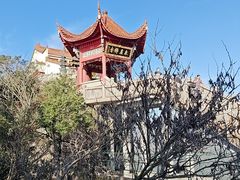 -九华山风景区-东崖禅寺