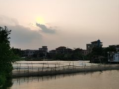 -江门古劳水乡旅游区