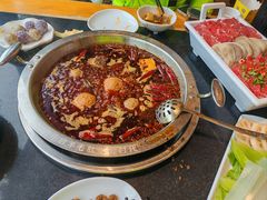 -一斗火锅·招财羊毛肚(北温泉九号店)