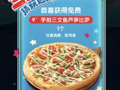 -达美乐比萨(武定店)