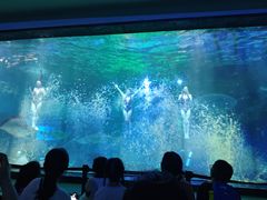-海合安成都极地海洋公园