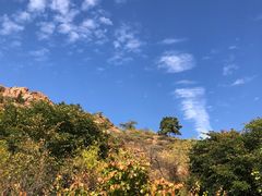 -红山国家森林公园