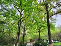 -杭州植物园