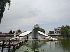 -东方巨龟苑景区