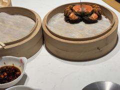 -杨氏青龙虾·羊蝎子(托乐嘉店)