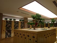 -汤泉良子(金源店)