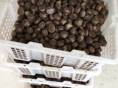 -阿男野栗王(金门路店)