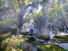 -Chom Cafe and Restaurant