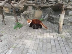 -常州淹城野生动物世界