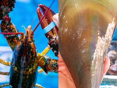 -三亚蜈支洲岛旅游区