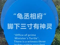 -广东惠东海龟国家级自然保护区