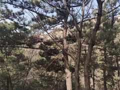 -崂山巨峰游览区