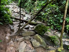 -西双版纳基诺山寨
