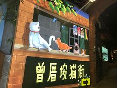 门面-有猫主题·治愈系猫咖(曾厝垵店)