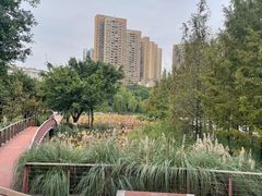 -沐仙湖湿地公园