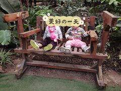 -呀路古热带植物园