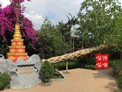 -瑞丽独树成林风景区