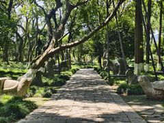-上海方塔园